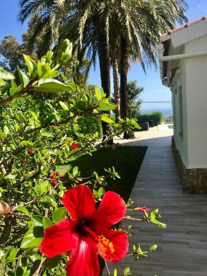 Villa Denia Costa Blanca Exterior photo